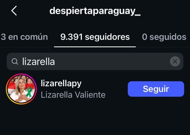 Despierta Paraguay Instagram Lizarella Valiente