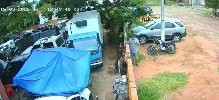 El sospechoso apacigua a uno de los perros guardianes del taller,  para luego ingresar al sitio.  