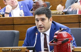 El diputado Mauricio Espínola (ANR-Fuerza Republicana) quiere saber si efectivamente los ministros del Poder Ejecutivo no están percibiendo doble salario, al ser también consejeros de Itaipú.