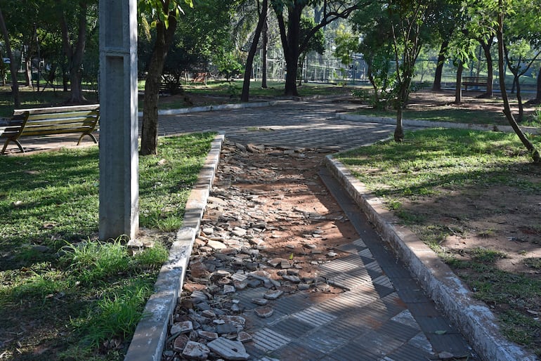 Limpieza del Parque Carlos A. López