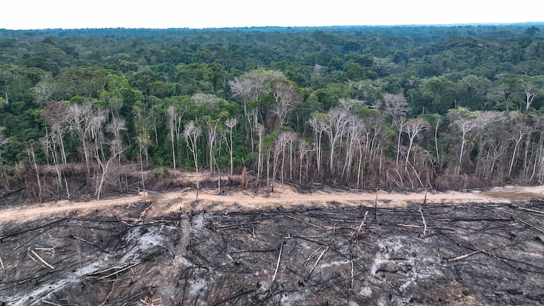 Vista aérea de la selva amazónica, con la parte frontal arrasada por incendios forestales.