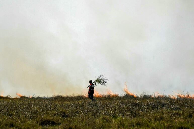Un incendio este viernes en un pastizal en un suburbio de la ciudad de Chennai, India.
