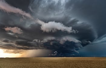 El Niño aparece en el horizonte y el campo mide los riesgos