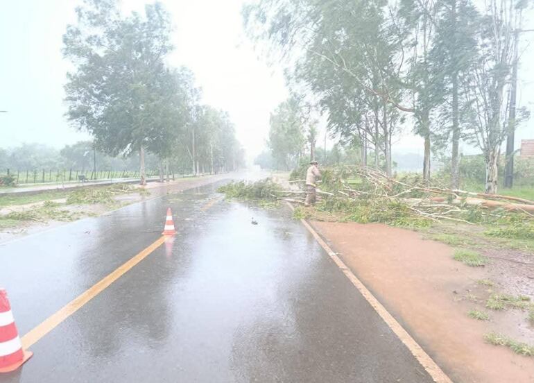 En el barrio Centro de Eusebio Ayala se registró la caída de árboles, pero sin daños materiales. Bomberos y funcionarios municipales trabajaron en el lugar para despejar la zona.