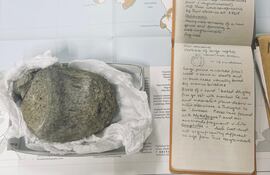 El cuaderno de campo geológico de 1985 del Dr. Mike Thomson, del British Antarctic Survey, junto a la primera vértebra fósil de dinosaurio encontrada en la Antártida.