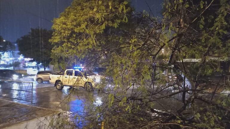 Escena urbana durante la lluvia con vehículos en movimiento, destacando una camioneta blanca con luces intermitentes en la avenida Estados Unidos.