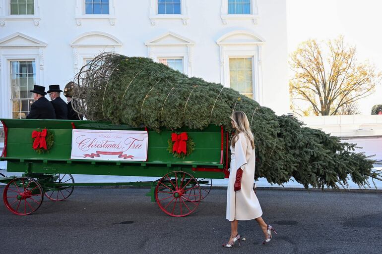 Melania Trump observando el gran árbol de Navidad que adornará la Casa Blanca este 2025. (Alex WROBLEWSKI / AFP)