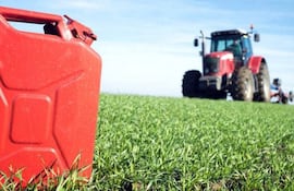 Paraguay dispone de 50.000 toneladas anuales de biodiésel de la asociación comercial UE-Mercosur y el principal desafío es cumplir con requisitos técnicos.
