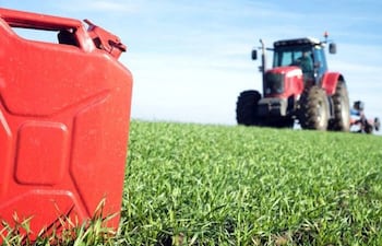 Paraguay dispone de 50.000 toneladas anuales de biodiésel de la asociación comercial UE-Mercosur y el principal desafío es cumplir con requisitos técnicos.