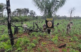 Cuatro agentes de camuflaje trabajan en terreno rural con herramientas, bajo un cielo nublado en Bella Vista Norte.