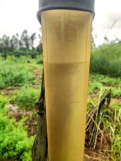 El registro de la lluvia de ayer y hoy es de 70mm, pero desde el domingo a la fecha ya llovió 120mm, explicó el productor Alfredo Gamarra.