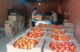 El precio del tomate se eleva y genera preocupación en vendedores y compradores.