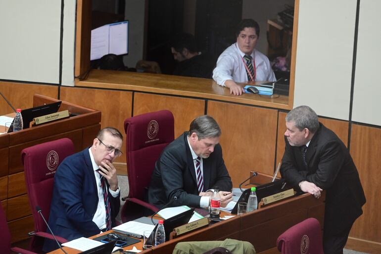 Erico Galeano, Natalicio Chase y Antonio Barrios, senadores cartistas.