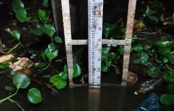 Varilla de medición en el río Paraguay con nivel de agua a 3, 28 m, rodeada de plantas acuáticas y residuos plásticos.