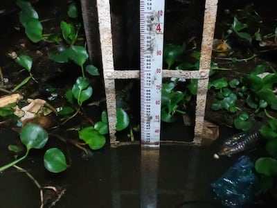 Varilla de medición en el río Paraguay con nivel de agua a 3, 28 m, rodeada de plantas acuáticas y residuos plásticos.
