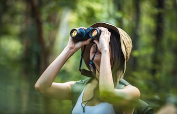 Observación de la naturaleza.
