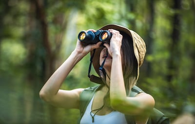 Observación de la naturaleza.