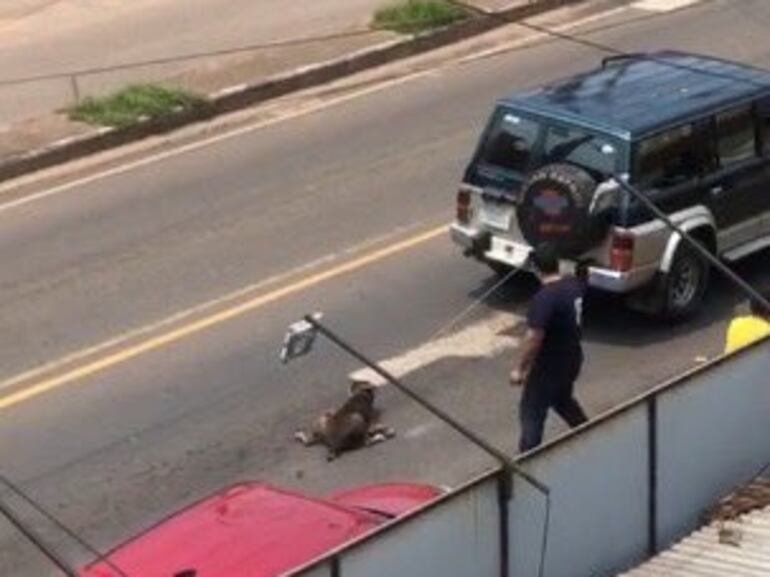 Momento en que la camioneta, que arrastraba al perro con una cuerda,  se detiene en medio de la calle.