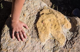 Mano al lado de huella de dinosaurio en Torotoro, Bolivia.
