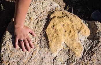 Mano al lado de huella de dinosaurio en Torotoro, Bolivia.
