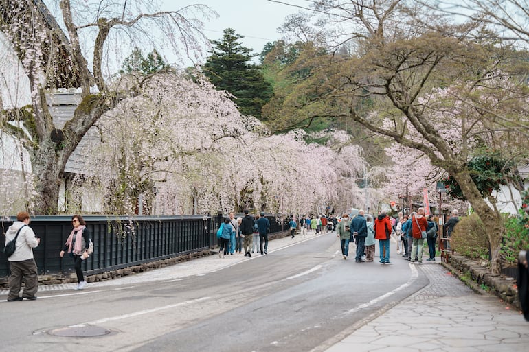 Kakunodate, Japón.