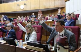 Sesión del Senado. Foto Gentileza de la Cámara Alta.