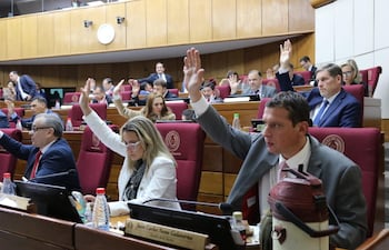 Sesión del Senado. Foto Gentileza de la Cámara Alta.