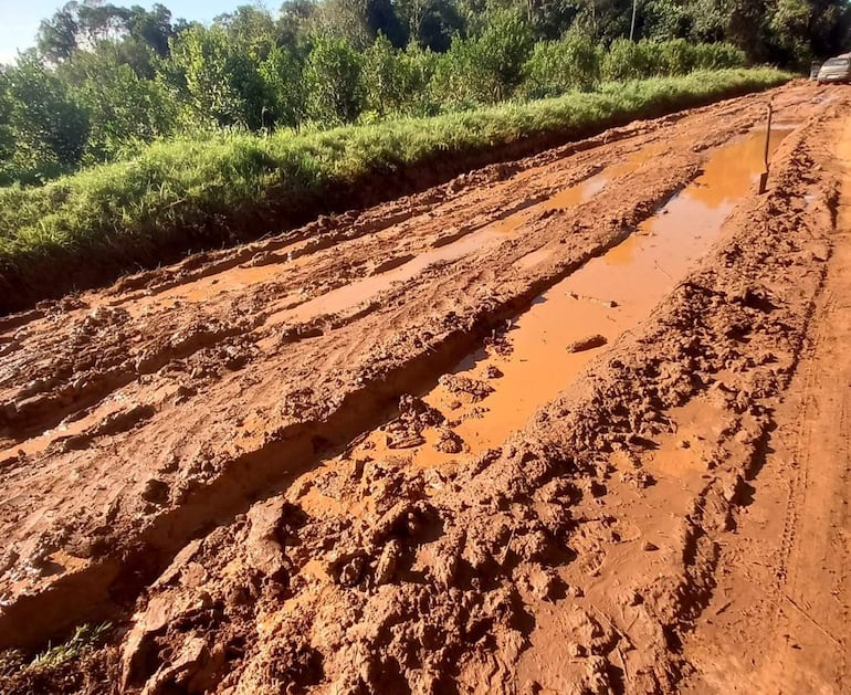 Yerbateros de Paso Yobái denuncian calvario para sacar su producción por el pésimo estado de los caminos.