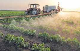Según Boggino, la demanda de fertilizantes no desapareció, sino que comenzó a redistribuirse entre diferentes alternativas productivas.