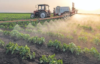 Según Boggino, la demanda de fertilizantes no desapareció, sino que comenzó a redistribuirse entre diferentes alternativas productivas.
