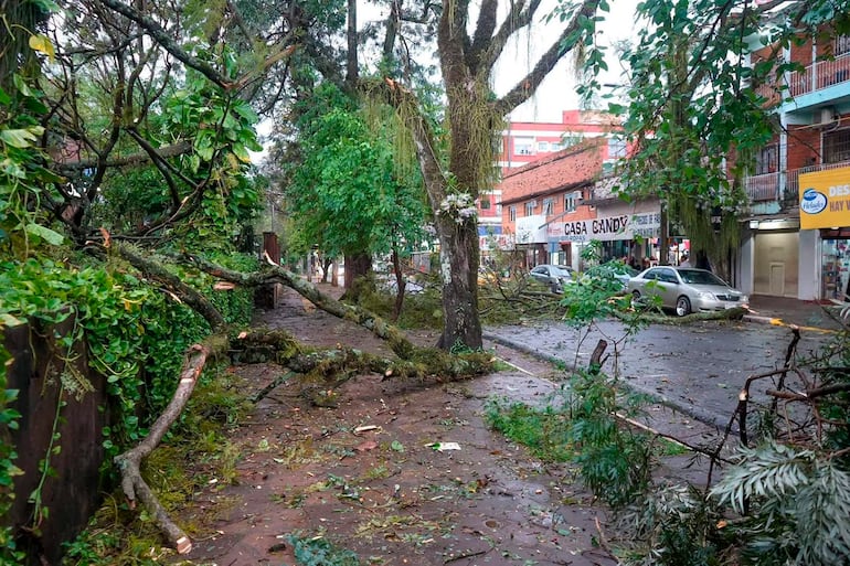 Calle urbana de Encarnación con ramas caídas y asfalto mojado tras la tormenta.