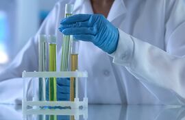 Tubos de ensayo de vidrio en un laboratorio, imagen ilustrativa, concepto investigaciones farmacéuticas.