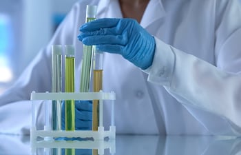 Tubos de ensayo de vidrio en un laboratorio, imagen ilustrativa, concepto investigaciones farmacéuticas.
