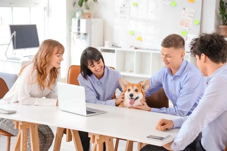 Concepto de perro en la oficina.