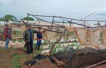 Tres hombres, uno con abrigo rojo y otro con chaqueta gris, observan los daños en invernaderos cubiertos de plástico.