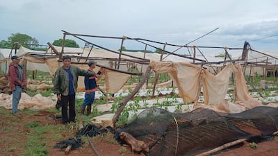 Tres hombres, uno con abrigo rojo y otro con chaqueta gris, observan los daños en invernaderos cubiertos de plástico.