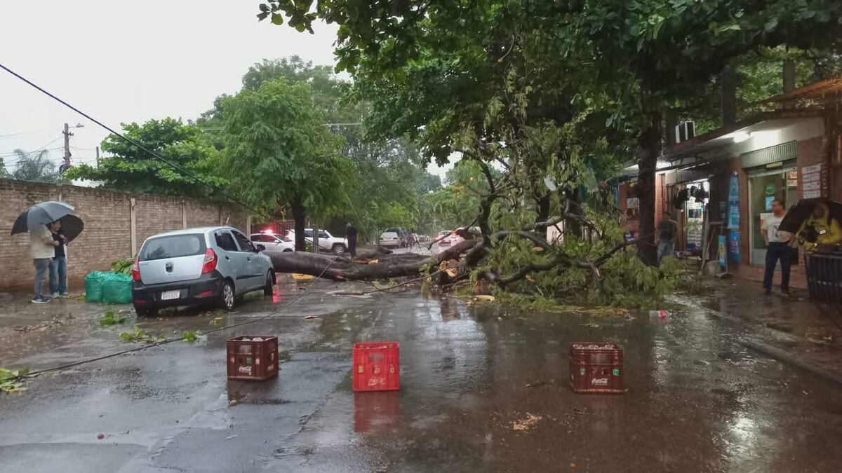 ANDE sugiere desconectar electrodomésticos ante tormentas eléctricas severas