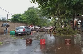 Dos hombres bajo un paraguas conversan a la izquierda, mientras un árbol caído bloquea la calle y el pavimento está mojado.