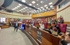 Sesión de la Cámara Alta (Gentileza Prensa Senado.)