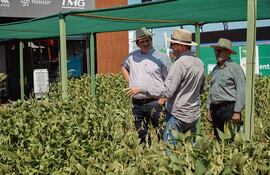 Sector forestal y yerbatero en Innovar 2026