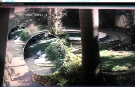 A las 09:29, el niño se encuentra al borde de la piscina. Posteriormente, se presume cayó al agua.