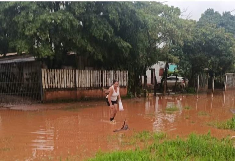Mujer con camiseta blanca y shorts oscuros ayudan a un perro en una calle inundada, rodeada de agua marrón y viviendas al fondo.