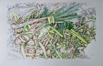 Obra de la exposición 'Naturalezas posibles' que muestra una planta dibujada con colores vibrantes en un entorno artístico.
