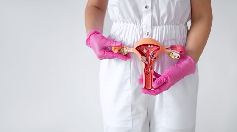 Concepto de salud ovárica.