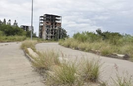 Paisaje urbano desolado con estructuras en ruinas, rodeadas de vegetación descontrolada y pavimento deteriorado.