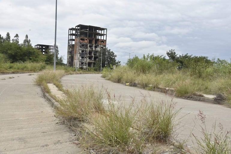 Paisaje urbano desolado con estructuras en ruinas, rodeadas de vegetación descontrolada y pavimento deteriorado.