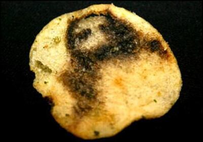 /pf/resources/images/abc-placeholder.png?d=2384