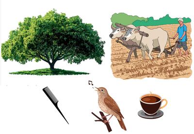 Acentuación: repaso