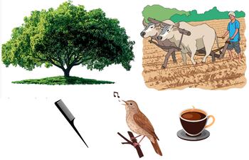 Acentuación: repaso