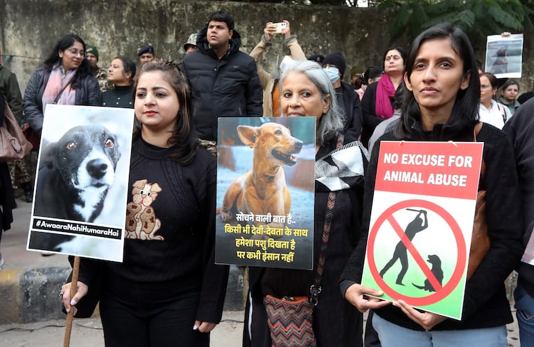 Activistas a favor de los perros sostienen una pancarta mientras se reúnen tras el veredicto de un tribunal para reubicar a los perros callejeros en una ciudad de la India.
